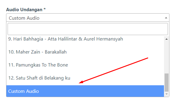 Custom Audio Undangan