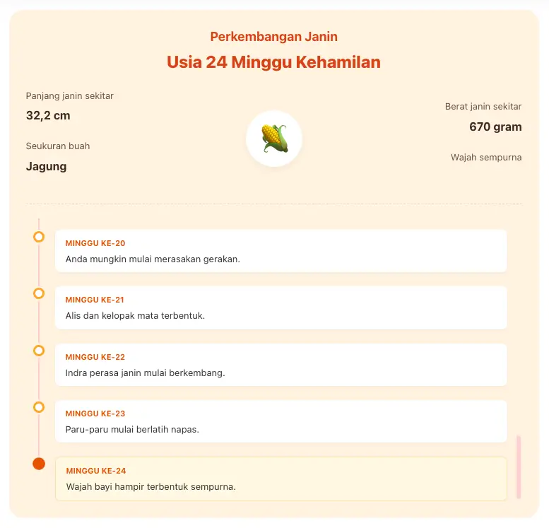 Perubahan pada Ibu Hamil 24 Minggu